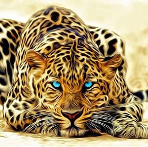 Meet your Posher, Jabin